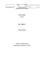 Paraugs 'SIA ''Miels'', prakses atskaite', 1.