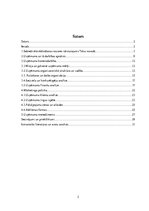 Paraugs 'SIA ''Miels'', prakses atskaite', 2.