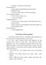 Paraugs 'SIA ''Miels'', prakses atskaite', 16.