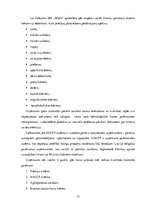 Paraugs 'SIA ''Miels'', prakses atskaite', 17.