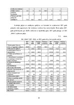 Paraugs 'SIA ''Miels'', prakses atskaite', 20.