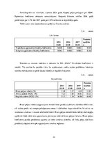 Paraugs 'SIA ''Miels'', prakses atskaite', 22.
