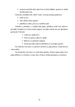 Paraugs 'SIA ''Miels'', prakses atskaite', 29.