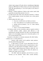 Paraugs 'SIA ''Miels'', prakses atskaite', 31.