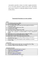 Paraugs 'SIA ''Miels'', prakses atskaite', 32.