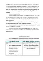 Referāts 'Mārketinga plāns ziedu veikalam "Dafna D"', 7.