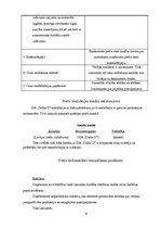 Referāts 'Mārketinga plāns ziedu veikalam "Dafna D"', 8.