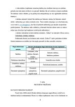 Referāts 'Mārketinga plāns ziedu veikalam "Dafna D"', 9.