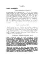 Konspekts 'Etiķete vāciski runājošajās valstīs (Vācija, Austrija, Šveice)', 1.