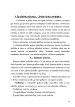 Referāts 'Īpašuma jēdziens un īpašuma tiesību saturs', 19.