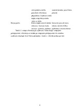 Biznesa plāns 'Beziepakojuma veikala biznesa plāns', 9.