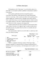 Biznesa plāns 'Beziepakojuma veikala biznesa plāns', 12.