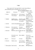 Biznesa plāns 'Beziepakojuma veikala biznesa plāns', 17.