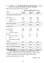 Biznesa plāns 'Beziepakojuma veikala biznesa plāns', 20.