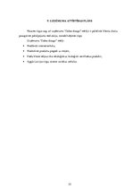 Biznesa plāns 'Beziepakojuma veikala biznesa plāns', 22.