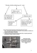 Referāts 'Tehnikas attīstība Senajā Romā ', 4.