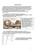 Referāts 'Tehnikas attīstība Senajā Romā ', 7.