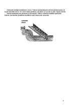 Referāts 'Tehnikas attīstība Senajā Romā ', 9.