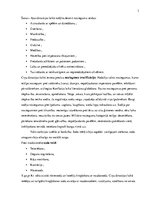 Referāts 'Ārvalstu tiesību vēsture', 3.