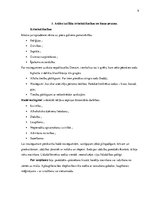 Referāts 'Ārvalstu tiesību vēsture', 9.