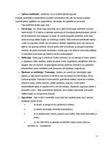 Biznesa plāns 'Biznesa plāns jogas nodarbību kluba izveidei', 4.