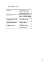 Biznesa plāns 'Biznesa plāns jogas nodarbību kluba izveidei', 8.