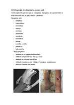 Referāts 'Sociālā pedagoģija', 24.