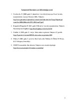 Eseja 'Latvijas kultūras mantojuma izpēte', 4.