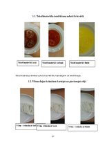 Referāts 'Tekstilmateriālu krāsošana ar netradicionālām krāsvielām', 21.