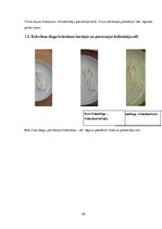 Referāts 'Tekstilmateriālu krāsošana ar netradicionālām krāsvielām', 22.
