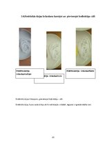 Referāts 'Tekstilmateriālu krāsošana ar netradicionālām krāsvielām', 23.