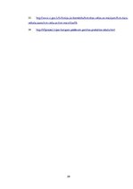 Referāts 'Tekstilmateriālu krāsošana ar netradicionālām krāsvielām', 28.