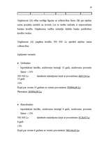 Referāts 'Uzņēmuma finanšu plānošana', 19.