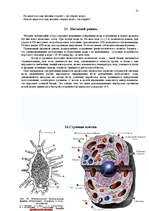 Referāts 'Человек - вода - здоровье', 31.
