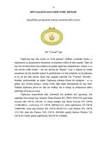 Prakses atskaite 'SIA "Carousel" prakses atskaite', 11.