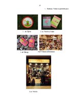 Prakses atskaite 'SIA "Carousel" prakses atskaite', 17.