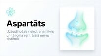 Prezentācija 'Aspartāts', 1.