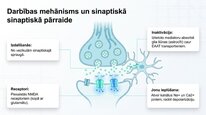 Prezentācija 'Aspartāts', 5.
