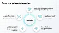 Prezentācija 'Aspartāts', 6.