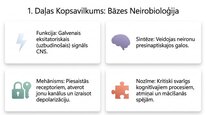 Prezentācija 'Aspartāts', 13.