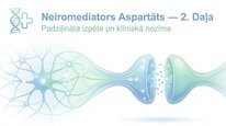 Prezentācija 'Aspartāts', 14.
