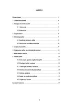 Biznesa plāns 'Skolēnu mācību firma', 2.