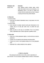 Biznesa plāns 'Skolēnu mācību firma', 5.