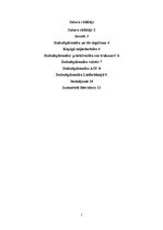 Referāts 'Dubultpilsonība', 2.