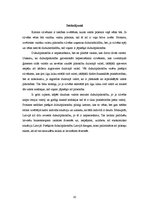 Referāts 'Dubultpilsonība', 10.