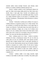 Referāts 'Lieldienu pasākums', 12.