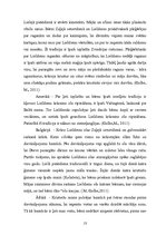 Referāts 'Lieldienu pasākums', 13.