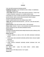 Referāts 'Darba vides drošība neatliekamajā medicīniskajā palīdzībā', 3.