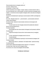 Referāts 'Darba vides drošība neatliekamajā medicīniskajā palīdzībā', 5.