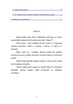 Referāts 'Gada projekts', 2.